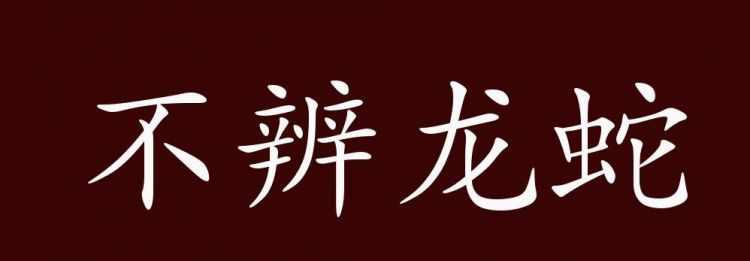 鱼龙混杂和龙蛇混杂的区别,正确的成语是鱼龙混杂还是龙蛇混杂呢图3