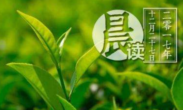 高端茶叶品牌排行榜,中国最好的茶叶品牌排行榜2022图14