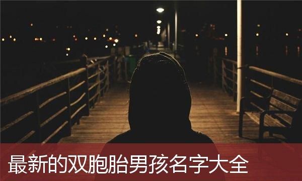 牛年双胞胎男孩取名字大全,双胞胎男孩取名字大全2022属虎图1