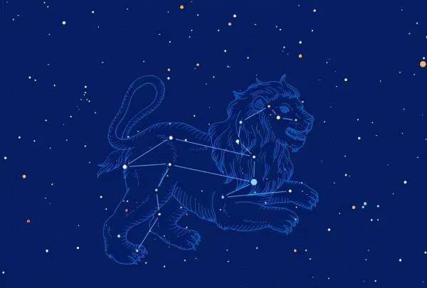 能让狮子座低头的都是神,让狮子男低头的星座女处女座图9