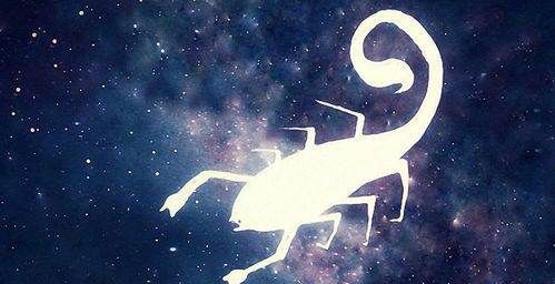 最绝情的星座男,一段分手伤感的话图9