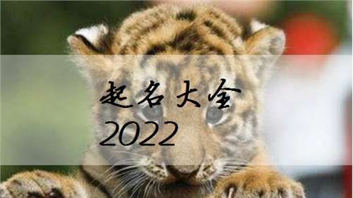 取名宝典免费2022年女孩子,女孩子儒字取名宝典图1