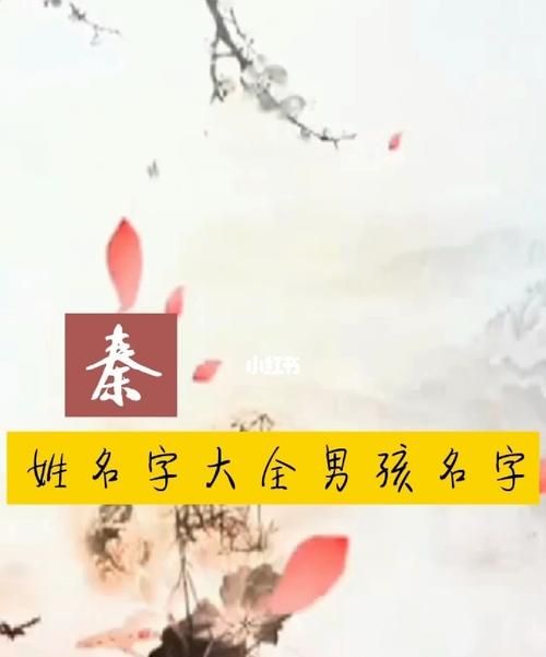 秦姓古风诗意女孩名字,秦姓女孩起名大全图4