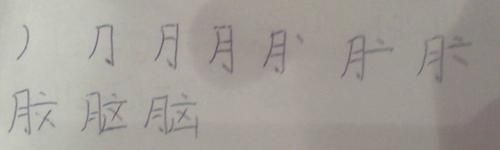 脑字开头的成语,“脑”字开头的成语有哪些图1