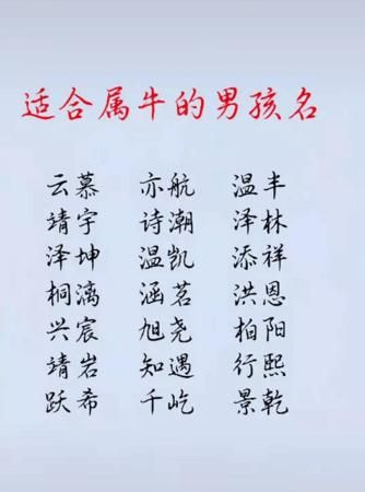 女宝宝名字大全2021属牛十一月,女孩名字大全202属牛免费图4