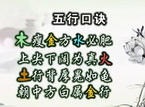 算命金口诀一千条,不问八字不打六爻用时间算命法图3