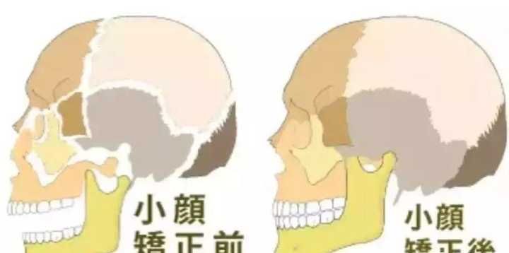 颔怎么读,颔联的颔什么读图1