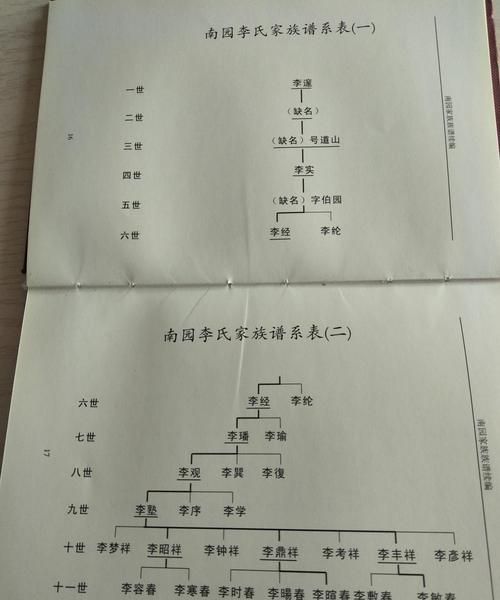 李氏家谱字辈5000例第4158例,大槐树李氏家谱字辈5000例图4