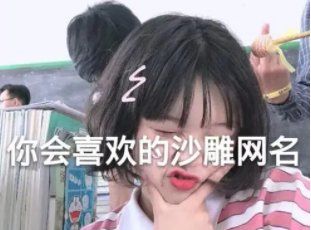 沙雕网名女生搞笑,有哪些女生用的简短好听又沙雕的昵称图1