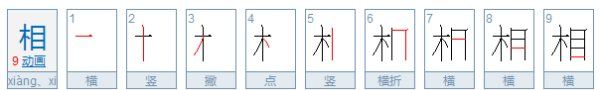 相的笔顺,相字笔顺怎样写图1