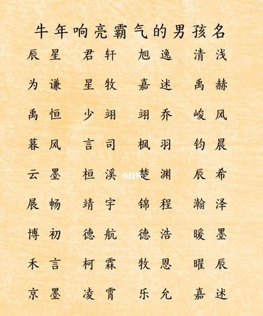 好听的男孩名字属牛,属牛的男孩叫什么名字好听图2