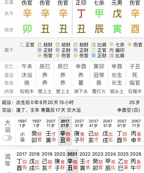 姓名命理八字精确分析,八字分析及起名图3