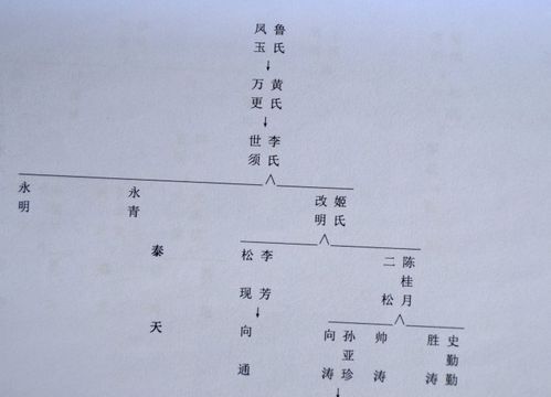 王氏族谱辈分,谁知道王氏族谱的字辈排列顺序图4