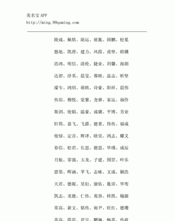 名字大全男孩2019免费,取名字大全男孩免费图3