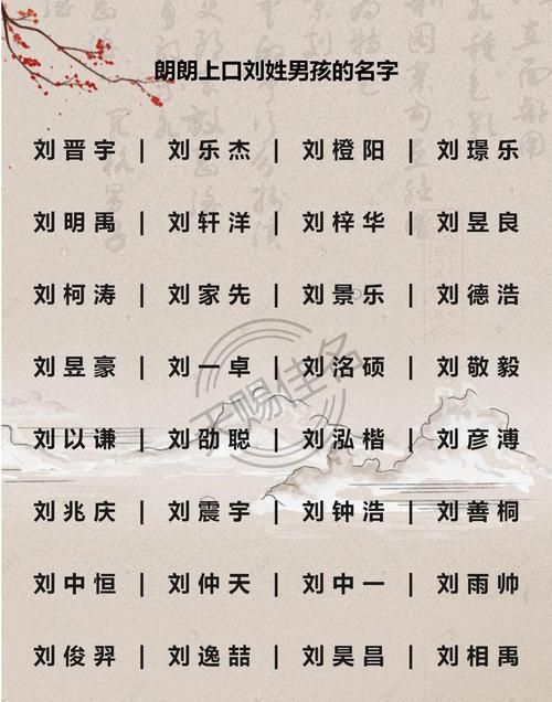 刘姓男孩名字简单大气,男孩名字图1