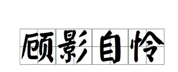 顾影自怜的意思,成语“顾影自怜”是什么意思