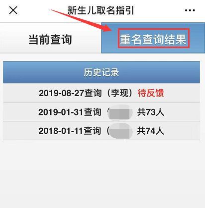 公安部重名查询系统,查重名全国图2