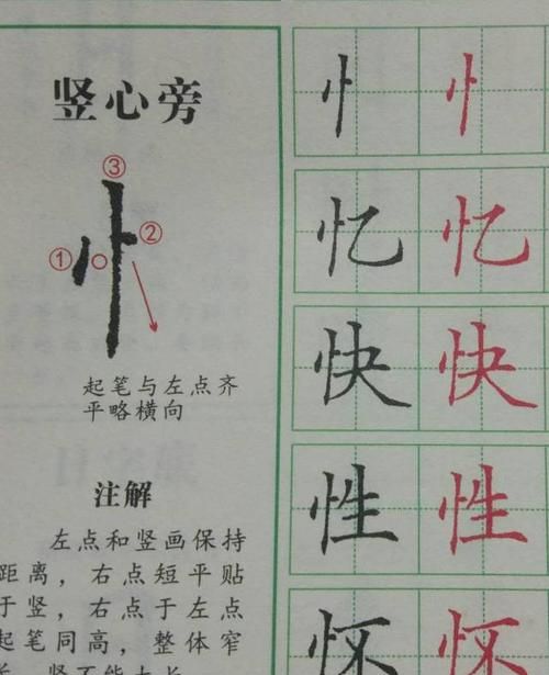 竖心旁的字有哪些,竖心旁的字有哪些图3