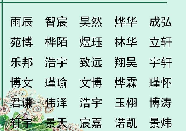 新生宝宝起名字大全,宝宝免费起名字大全图4