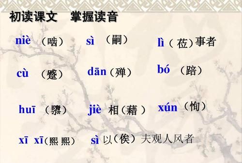 嗣怎么读拼音是什么意思,嗣这个字怎么读.图4