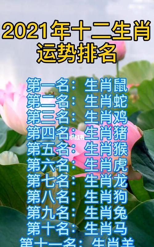 在线算命免费2021年运势,八字算命运程流年图4