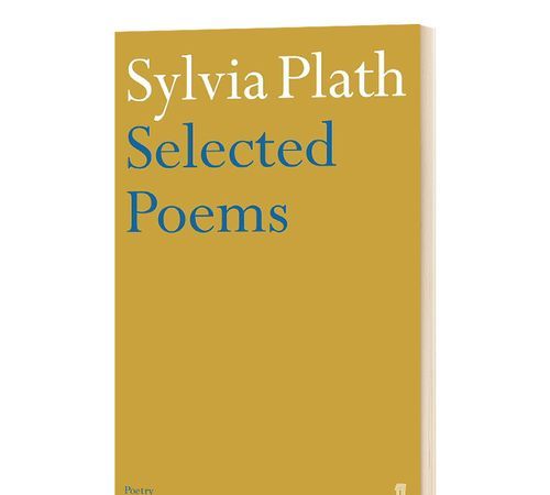 sylvia plath的诗,Sylvia Plath图1