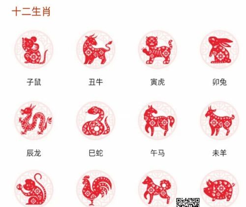 2021年是什么生肖年,是什么生肖年图5