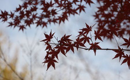 诗意又撩人的情侣游戏名字,诗情画意的游戏情侣名字图2