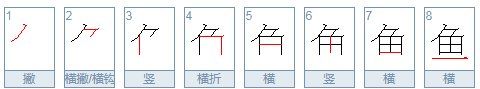 鱼的笔顺,鱼怎么写笔顺图1