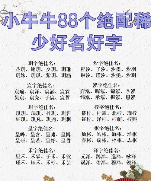 新生婴儿取名字,新生婴儿取名字图4