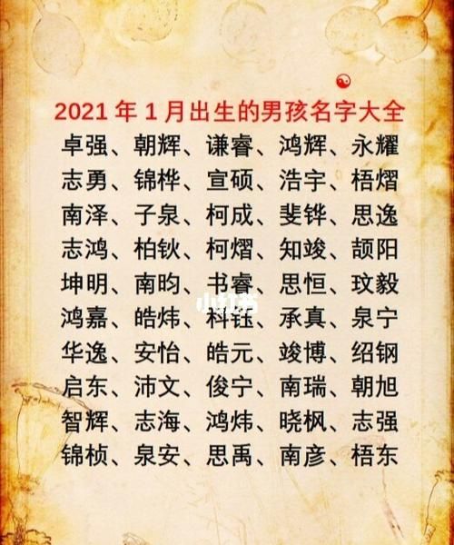 女宝宝名字大全2021属牛,孙姓女孩名字大全202属牛图2