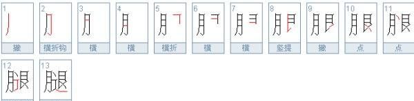 腿的笔顺,腿的笔顺是什么图1