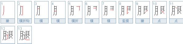 腿的笔顺,腿的笔顺是什么图2