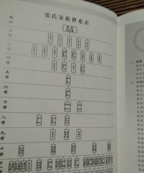 张氏家谱字辈大全,张氏家谱字辈是怎么排列的图3