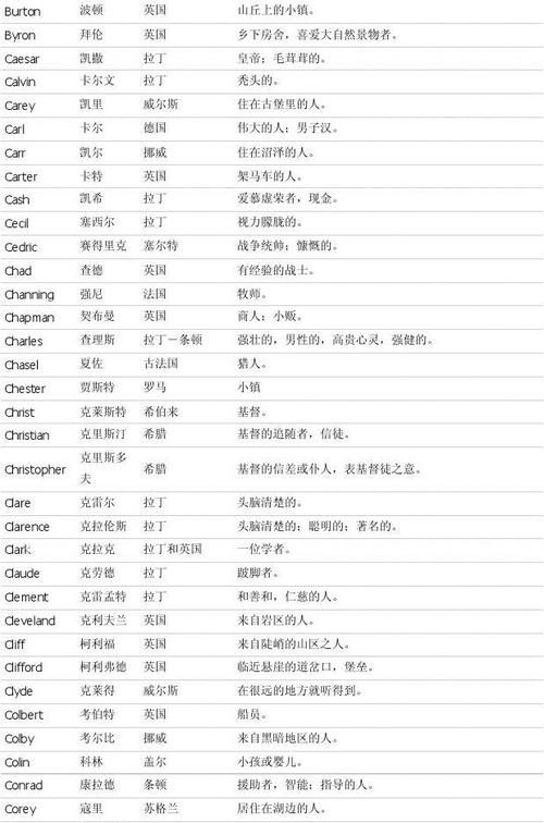 男孩英文名字大全翻译,最酷的男孩英文名字[带中文翻译】图1