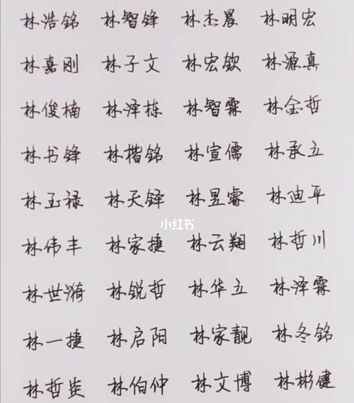 林姓名字大全男孩名字,林姓名字大全图1