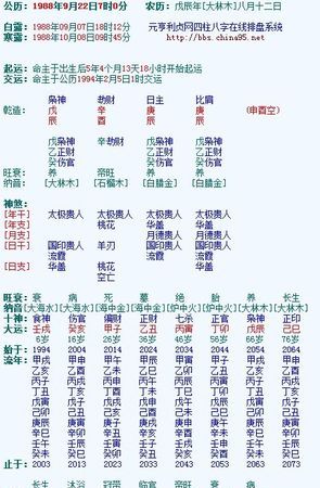 八字命格查询 免费,命格查询：图3