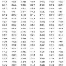 李姓起名字大全男孩,姓李排"永"字的男孩名字大全图2