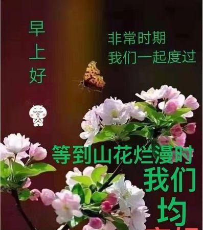 2020年2月29日,小明爸爸出差回来的日期是2月29日对还是错图4