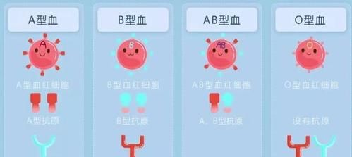 o型和a型血生小孩会溶血吗,我是O型血图1