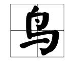 鸟字旁的字有哪些字,带“鸟”偏旁的字有哪些图2