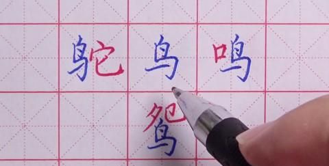 鸟字旁的字有哪些字,带“鸟”偏旁的字有哪些图4