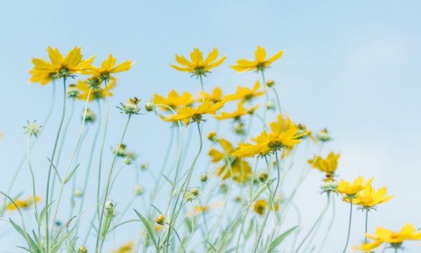 白羊男心中的女神
,白羊座男生喜欢什么样的女生图8