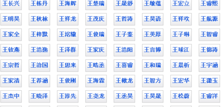 百度取名字大全免费男孩子,男孩子的名字大全图2