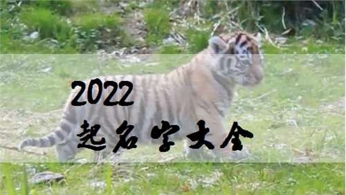 宝宝名字大全2022,起名大全男孩图1