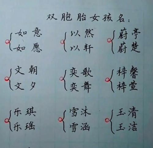 双胞胎起名字女孩,双胞胎女孩想取名 各位大师指点图1