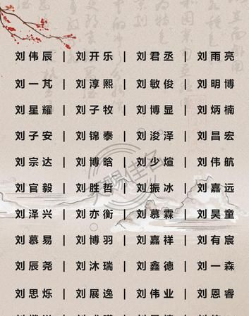 姓刘的独特的男孩名字,姓刘的男孩名字怎么取图4