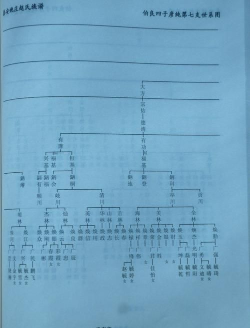 山东赵氏家谱网上家谱,赵氏家谱全部的字辈有哪些图4