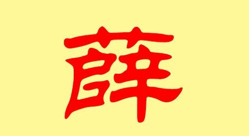 薛姓取名字大全，薛姓，恩字排行，求一男孩儿名字???？图2