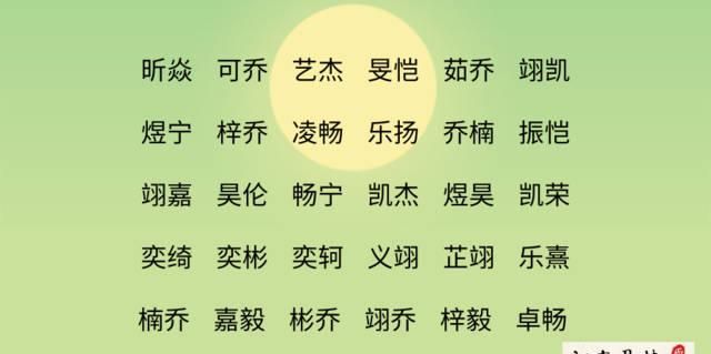 属猪女孩名字大全，属猪女孩的名字？图2